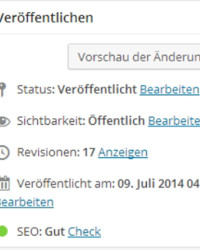 Der Check gibt noch einmal an, wie gut das SEO ist.