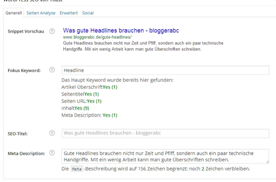 Die Voransicht zeigt, wie es später bei Google aussieht.