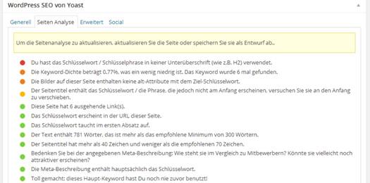 Die Seitenanalyse gibt detailiert wieder, wo das SEO zu optimieren ist.