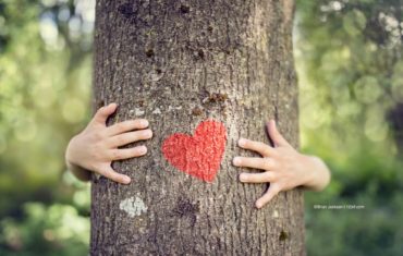Kinderhände umfassen einen Baum auf dem ein rotes Herz ist